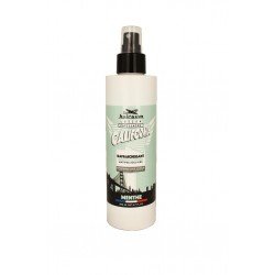 Лосьйон проти лупи Hairgum California hair lotion with anti-dandruff active ingredient